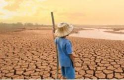 Artigo: Do amparo à estratégia, o seguro na sustentabilidade dos negócios diante dos riscos climáticos