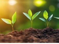 Publicada norma sobre questões ambientais, sociais e climáticas aplicáveis ao seguro rural