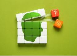 Como superar os vieses cognitivos na gestão de riscos